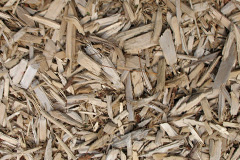 biomass boilers Chadshunt