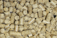 Chadshunt biomass boiler costs